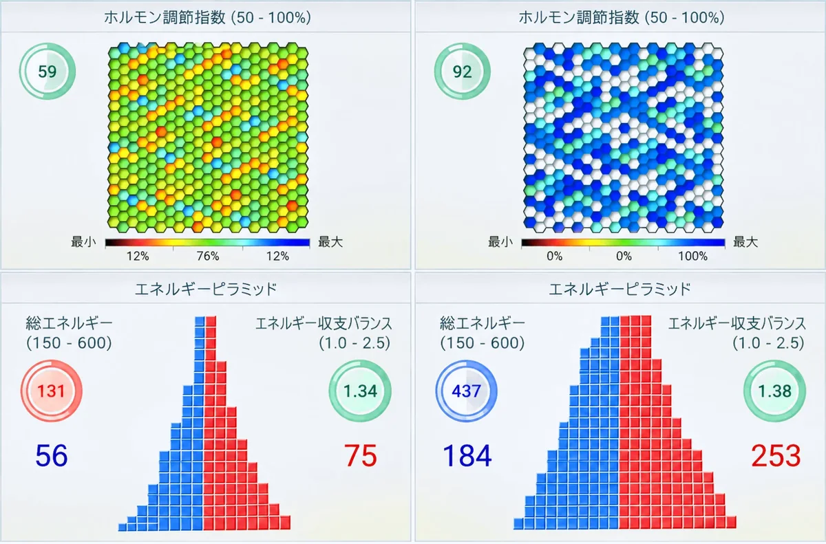 CHI測定レポートの画面例：ホルモン調節とエネルギー
